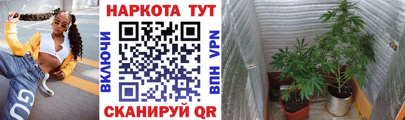 Наркошоп Зеленокумск ГАШ  COCAIN  Мефедрон 