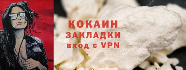 кокс Бородино