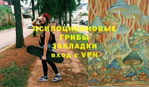 соль курить ск Богородск