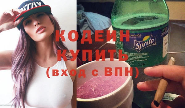 СК Пересвет