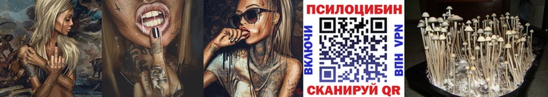 Галлюциногенные грибы Psilocybe  Зеленокумск 